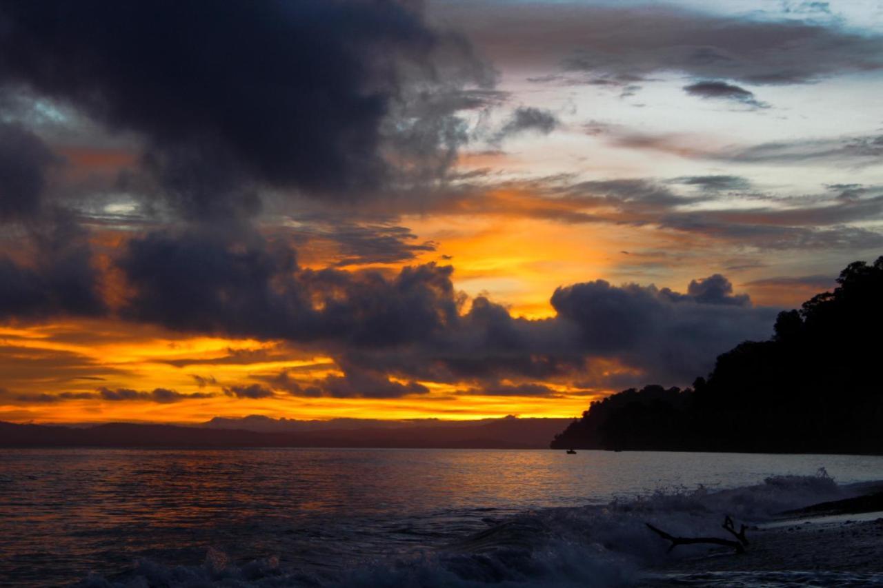 Dolphin Quest Costa Rica Villa Piedras Blancas ภายนอก รูปภาพ