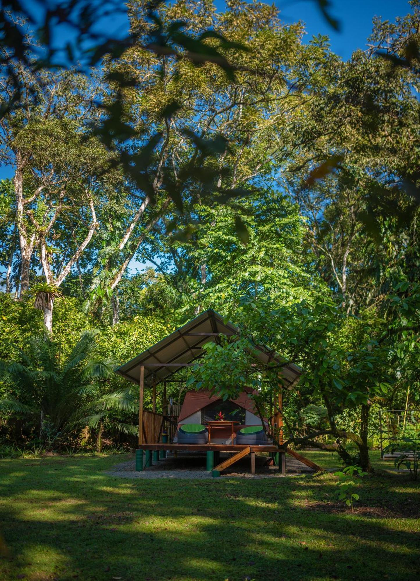 Dolphin Quest Costa Rica Villa Piedras Blancas ภายนอก รูปภาพ